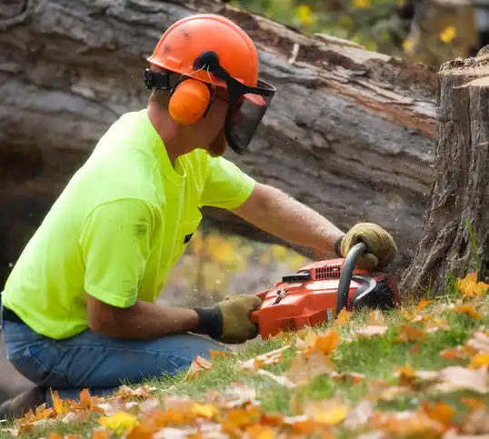 tree services Grass Lake